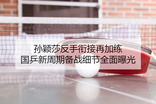 孙颖莎反手衔接再加练 国乒新周期备战细节全面曝光